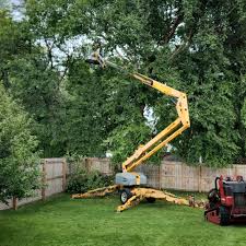  Bret Harte, CA Tree Care Pros