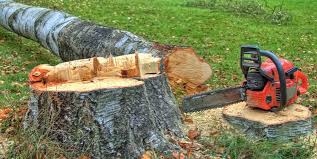 Best Tree Mulching  in Bret Harte, CA