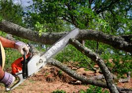 Best Lawn Watering Services  in Bret Harte, CA